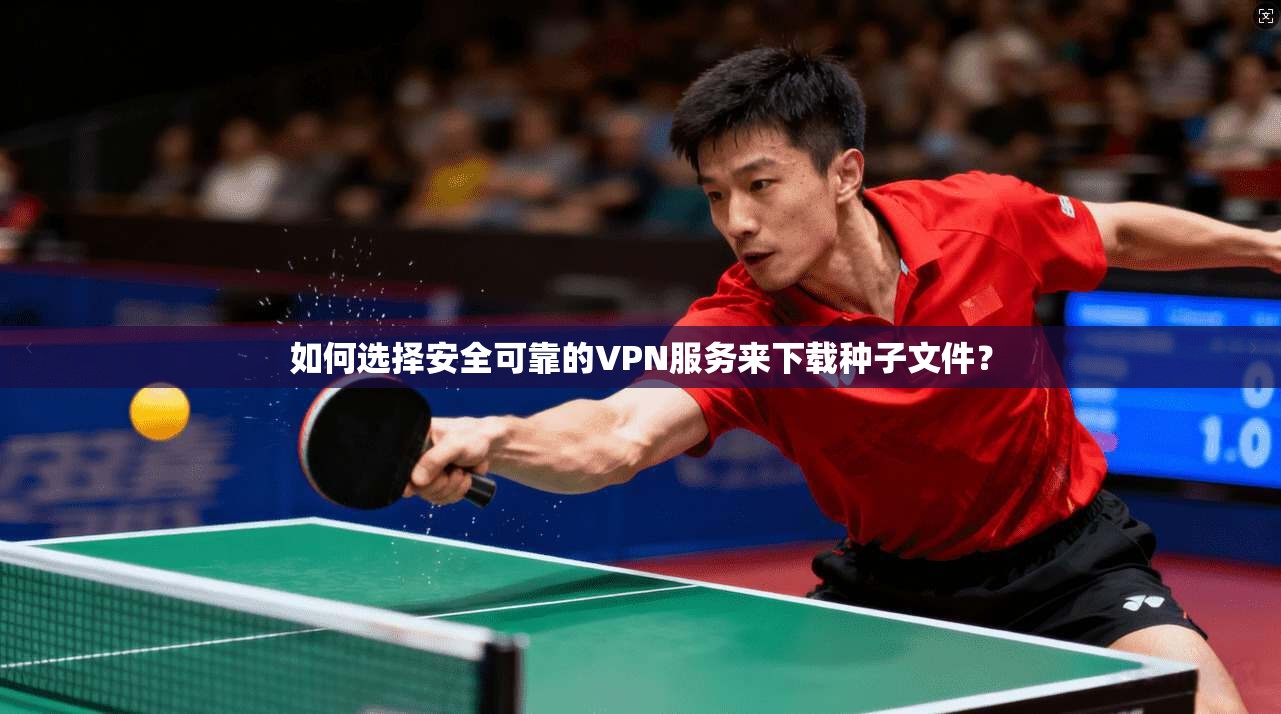 如何选择安全可靠的VPN服务来下载种子文件？