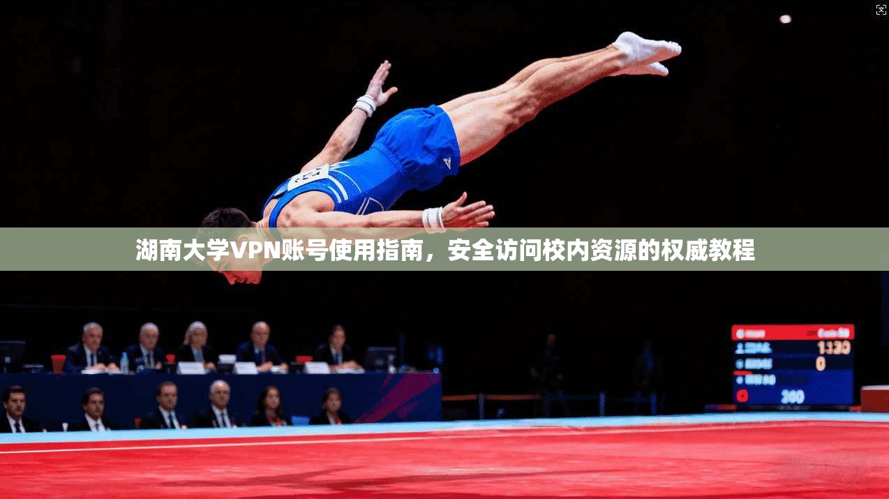 湖南大学VPN账号使用指南，安全访问校内资源的权威教程