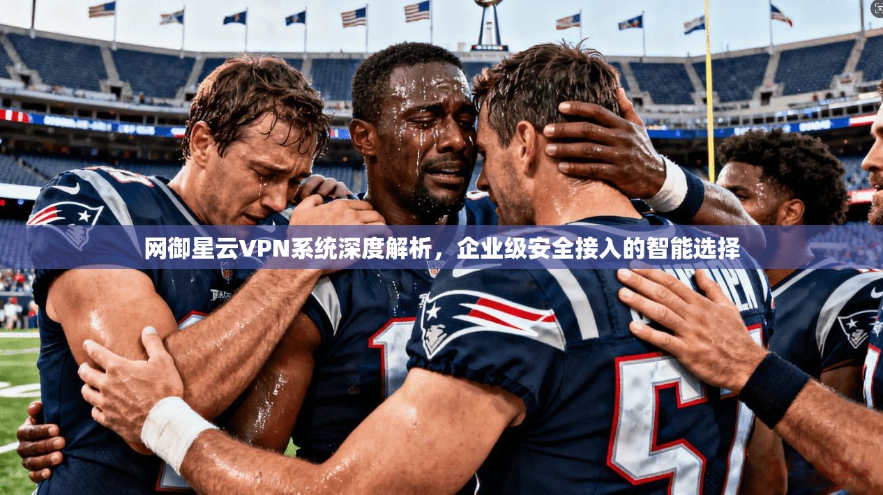 网御星云VPN系统深度解析，企业级安全接入的智能选择