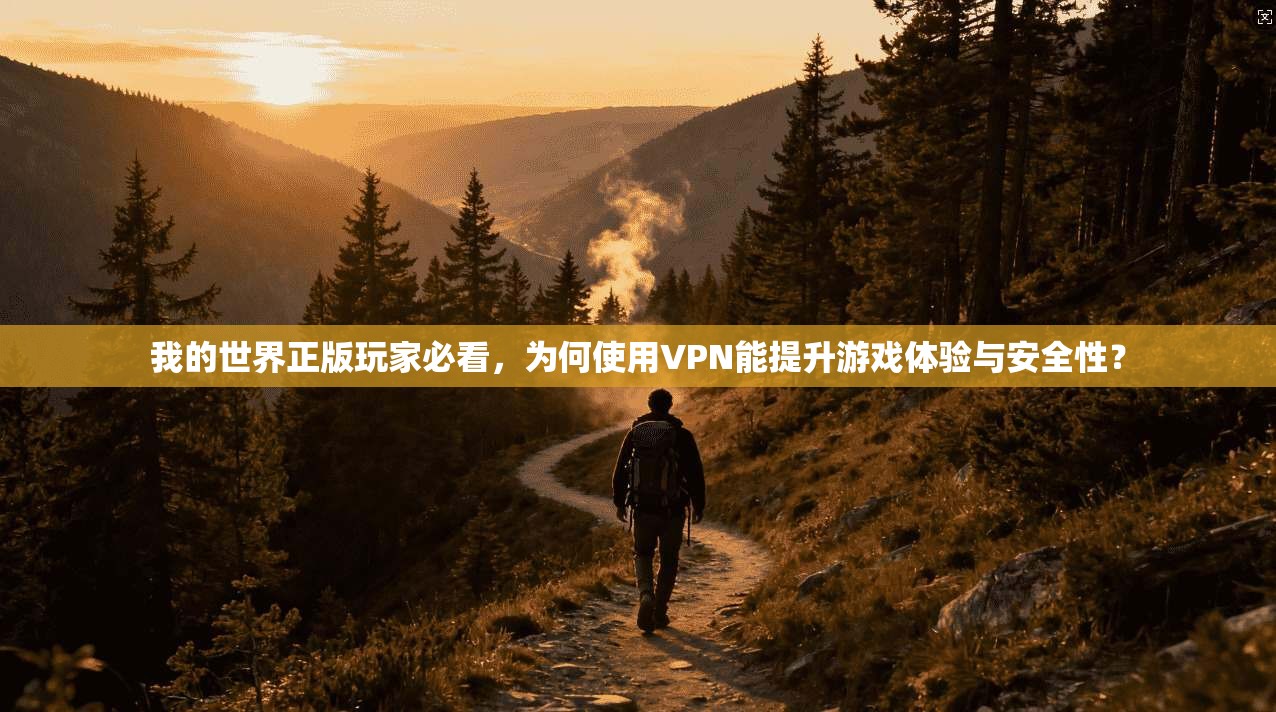 我的世界正版玩家必看，为何使用VPN能提升游戏体验与安全性？