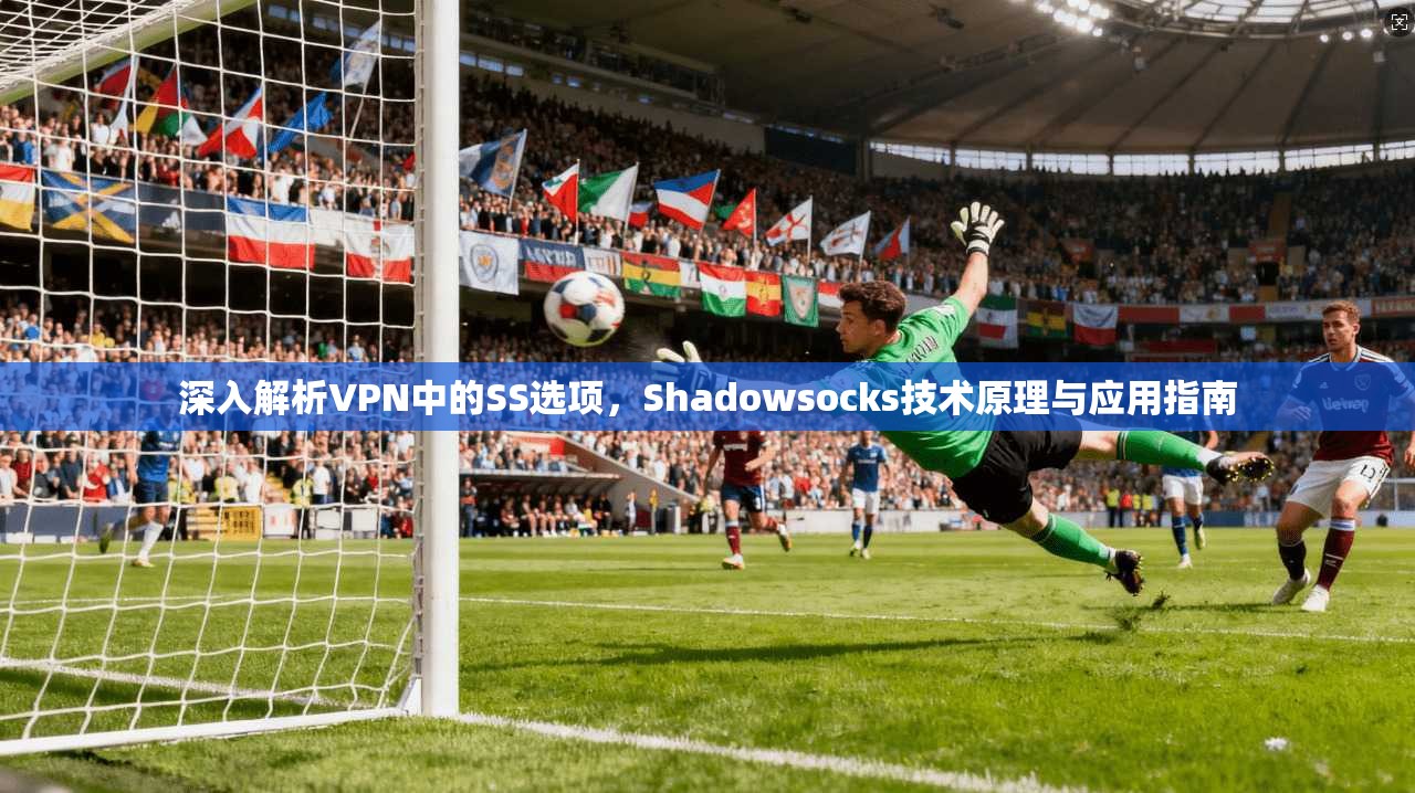 深入解析VPN中的SS选项，Shadowsocks技术原理与应用指南