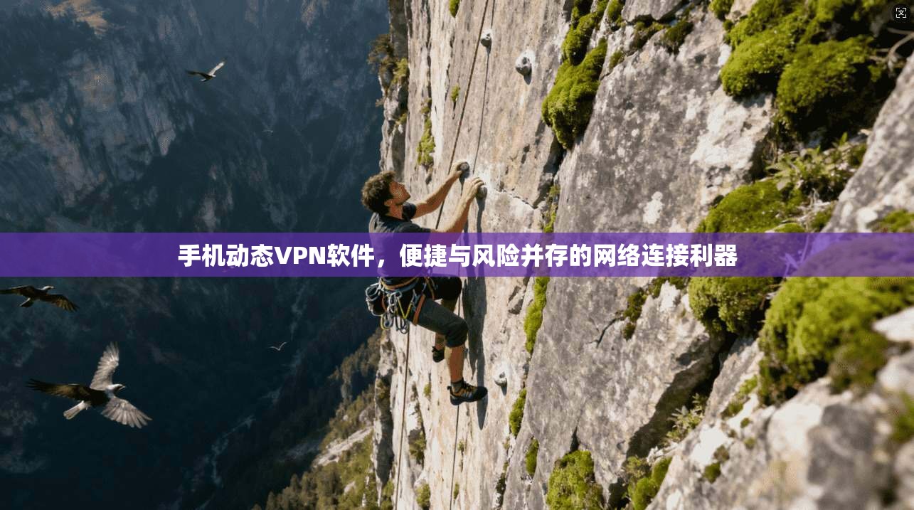 手机动态VPN软件，便捷与风险并存的网络连接利器