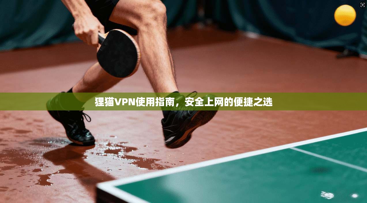 狸猫VPN使用指南，安全上网的便捷之选