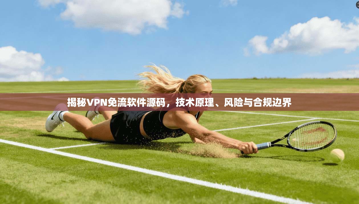 揭秘VPN免流软件源码，技术原理、风险与合规边界