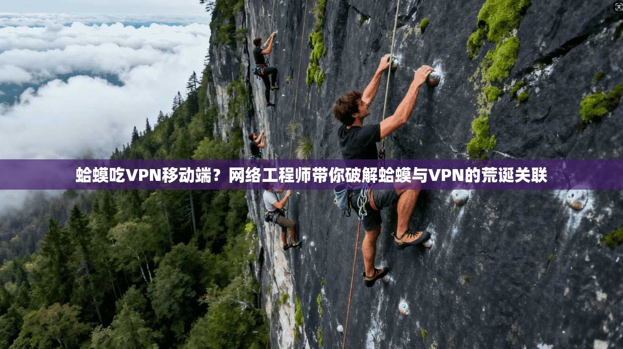 蛤蟆吃VPN移动端？网络工程师带你破解蛤蟆与VPN的荒诞关联