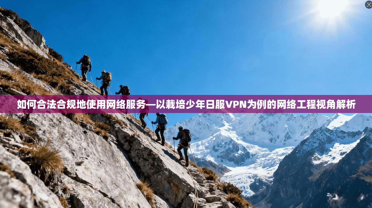 如何合法合规地使用网络服务—以栽培少年日服VPN为例的网络工程视角解析