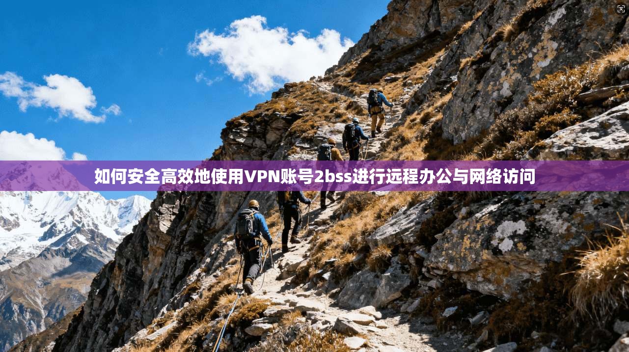 如何安全高效地使用VPN账号2bss进行远程办公与网络访问