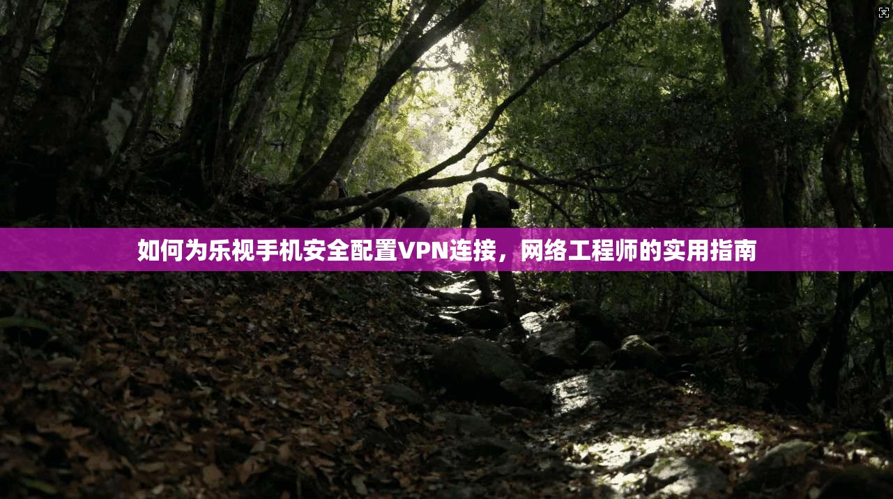 如何为乐视手机安全配置VPN连接，网络工程师的实用指南