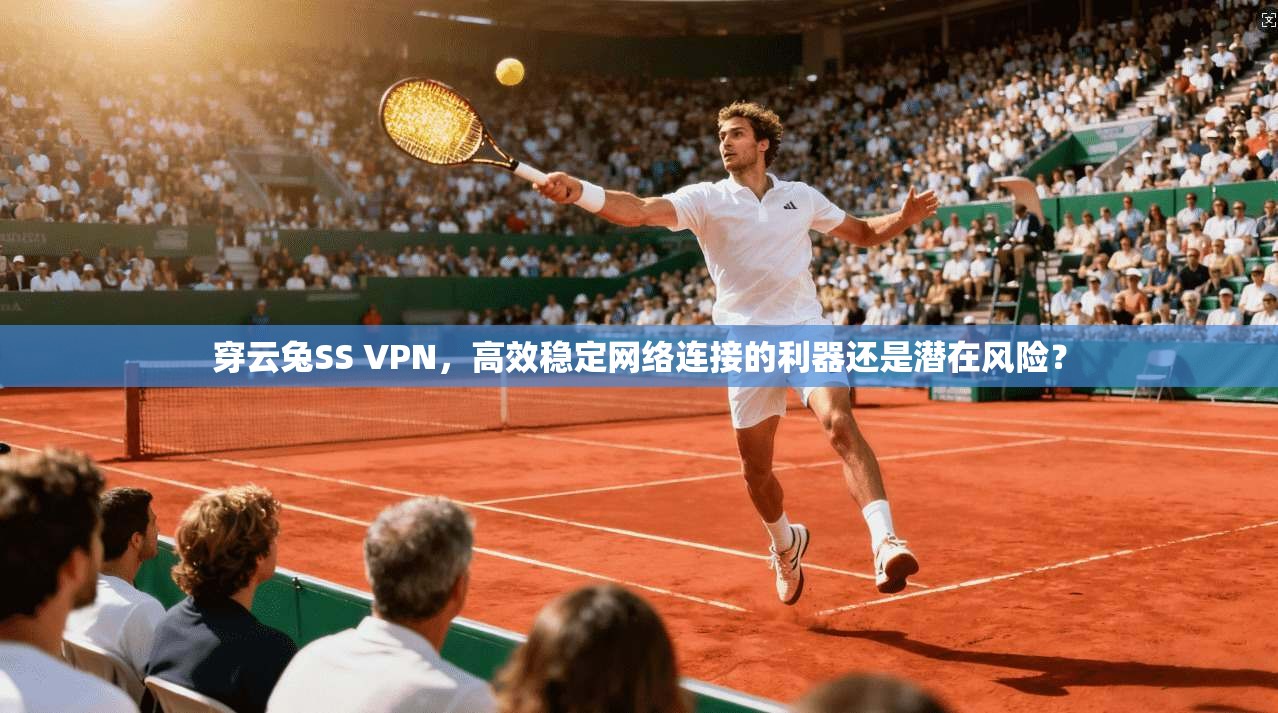 穿云兔SS VPN，高效稳定网络连接的利器还是潜在风险？