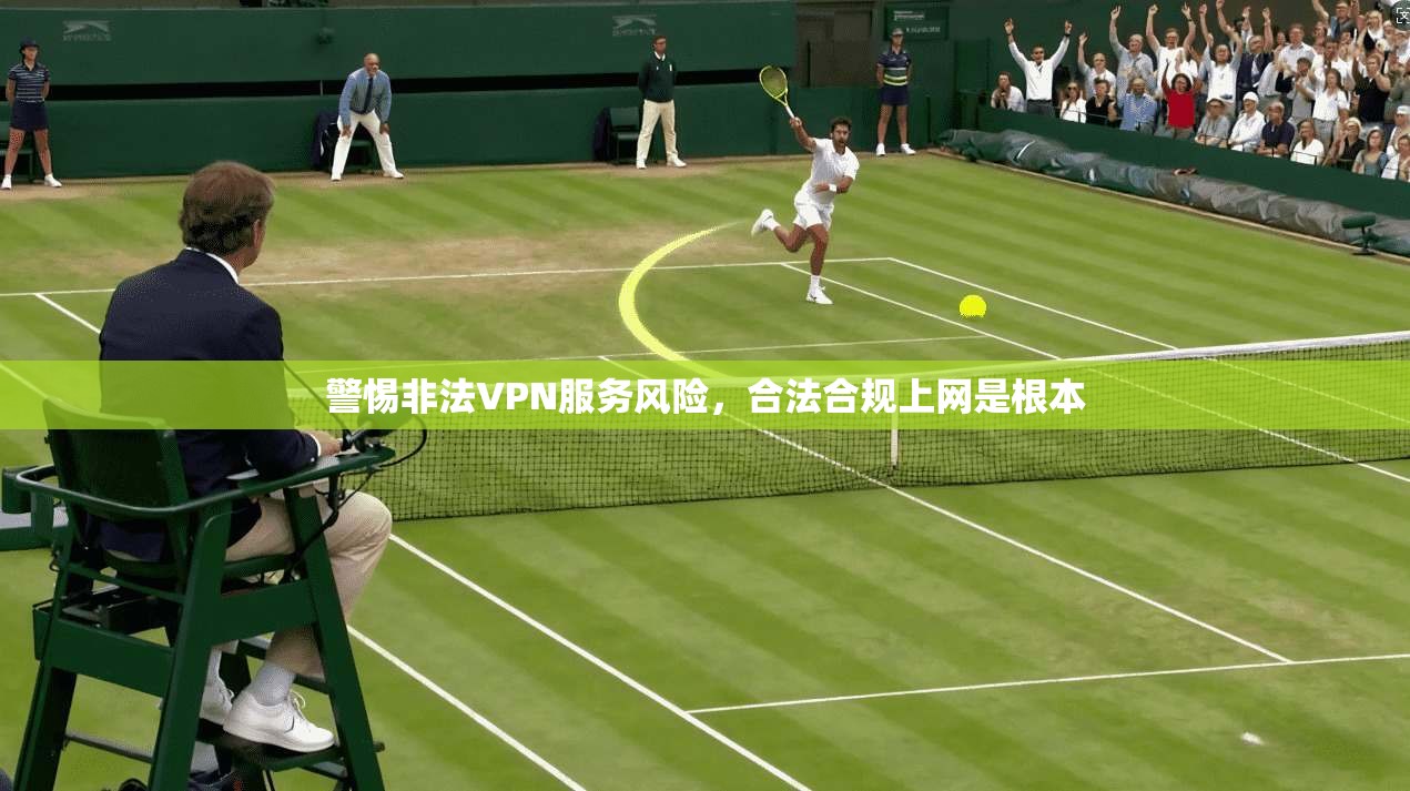 警惕非法VPN服务风险，合法合规上网是根本