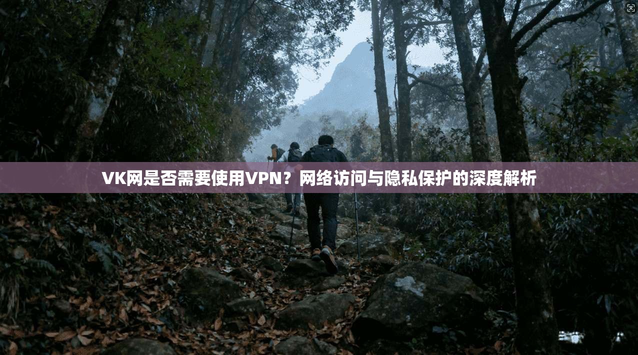 VK网是否需要使用VPN？网络访问与隐私保护的深度解析