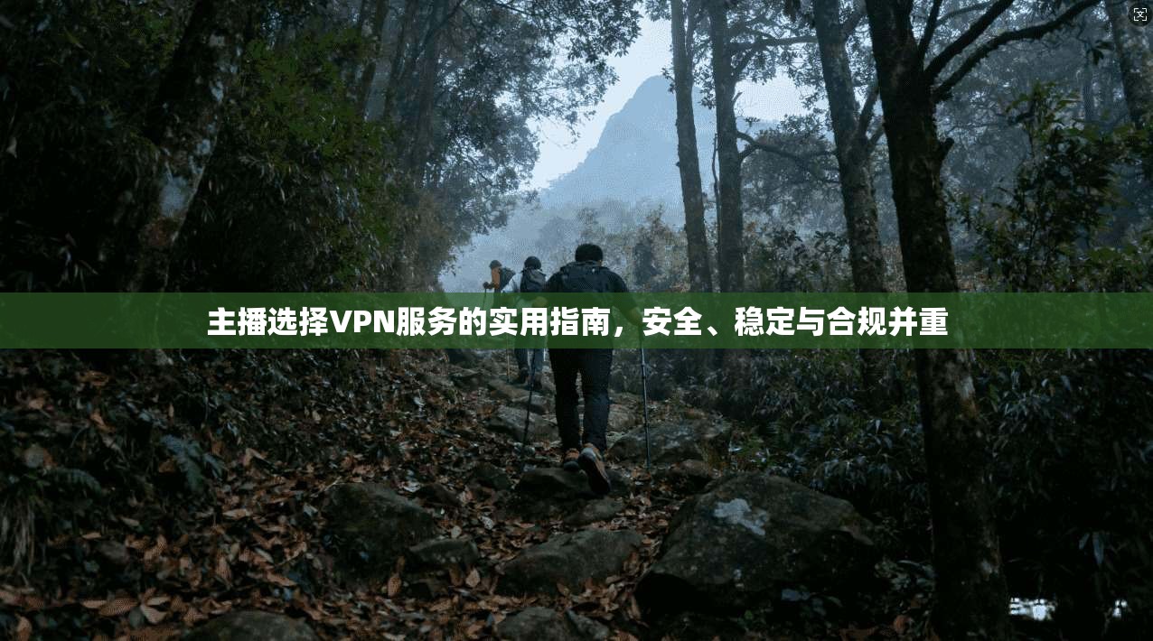 主播选择VPN服务的实用指南，安全、稳定与合规并重