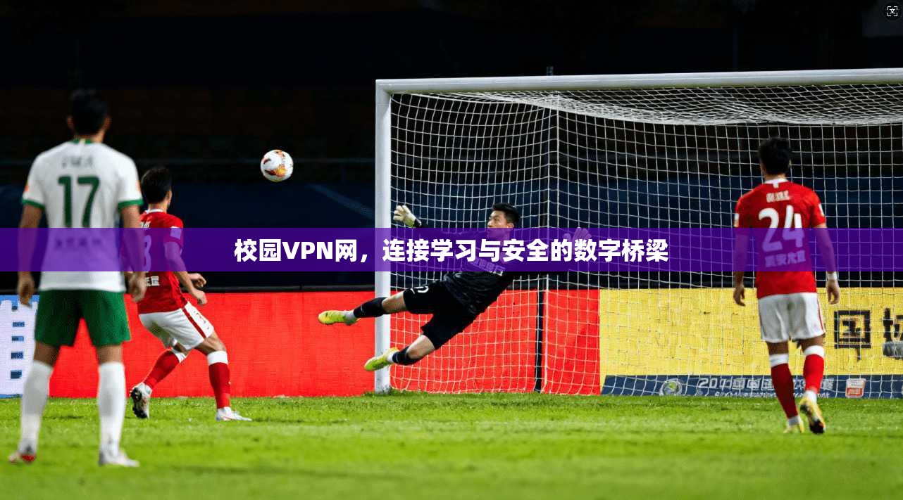 校园VPN网，连接学习与安全的数字桥梁