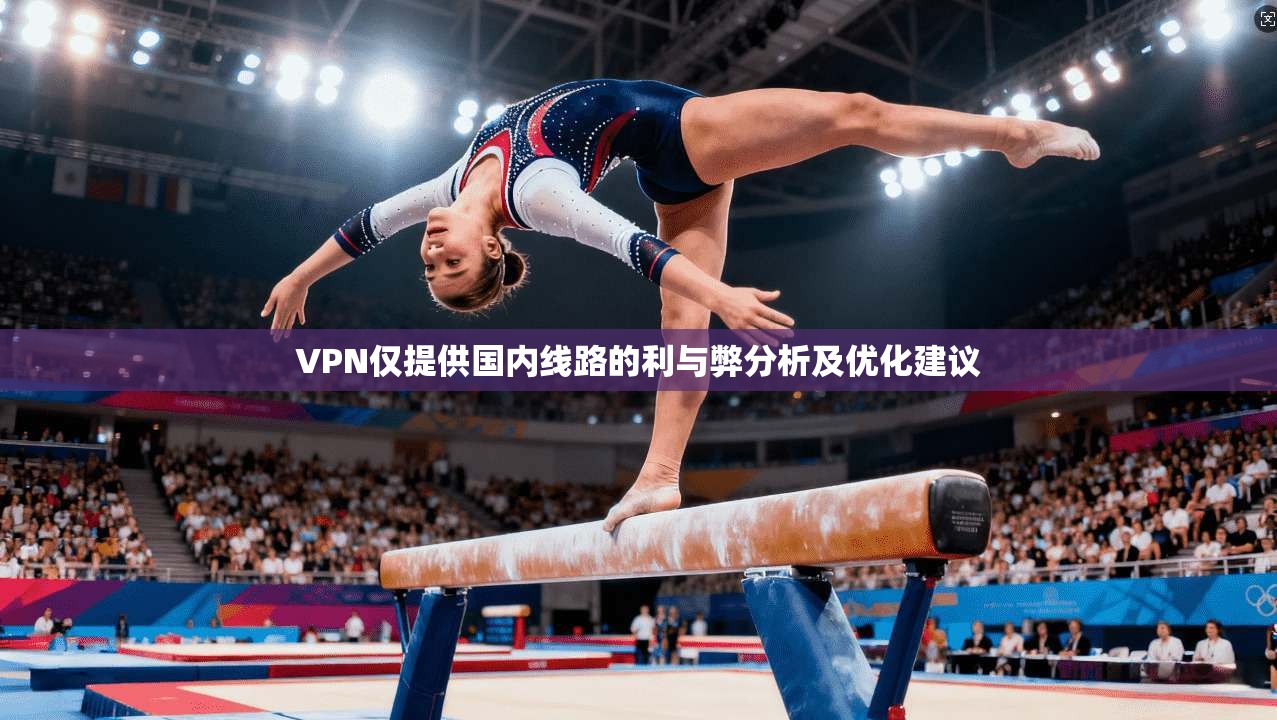 VPN仅提供国内线路的利与弊分析及优化建议