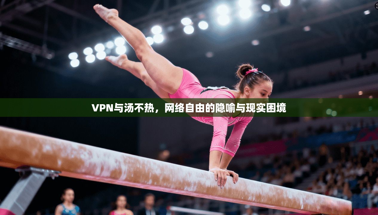 VPN与汤不热，网络自由的隐喻与现实困境