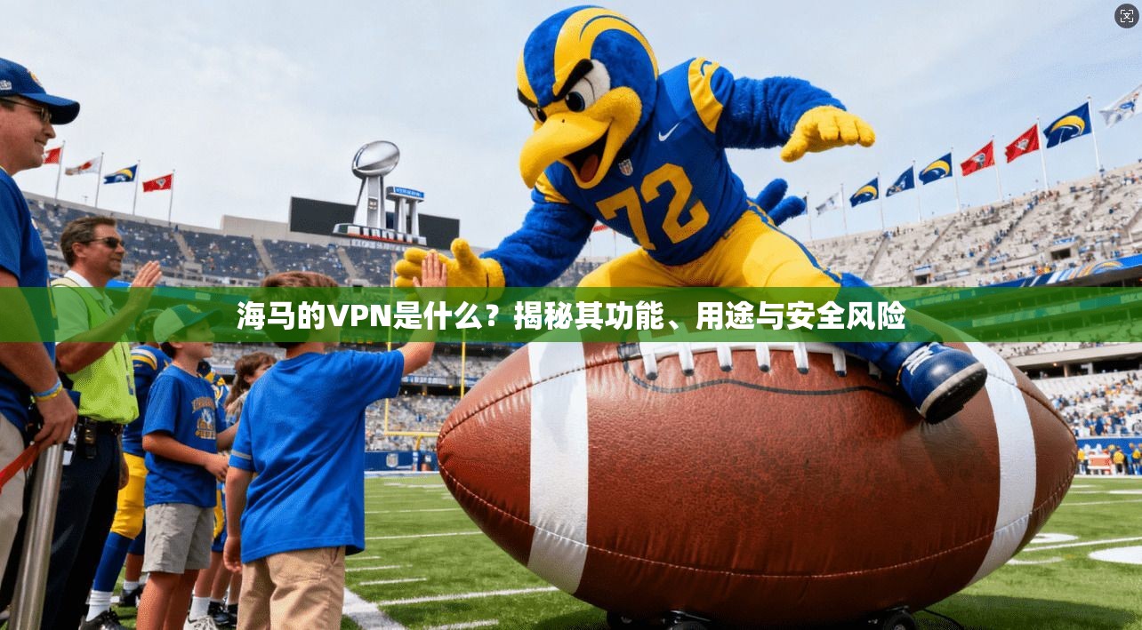 海马的VPN是什么？揭秘其功能、用途与安全风险