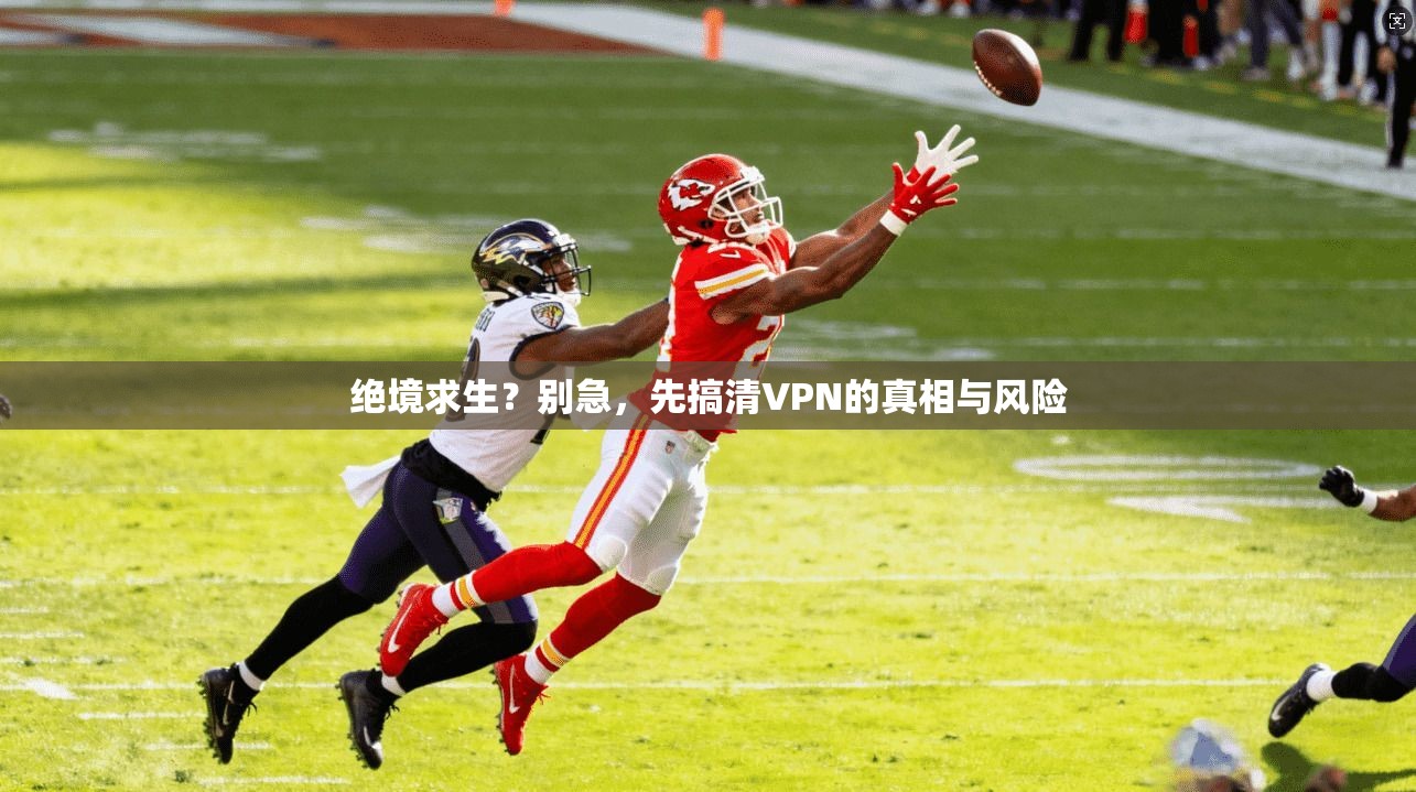 绝境求生？别急，先搞清VPN的真相与风险