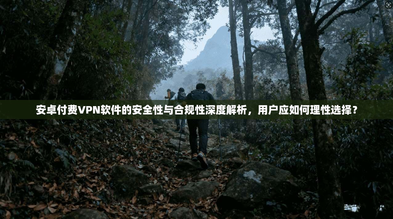 安卓付费VPN软件的安全性与合规性深度解析，用户应如何理性选择？
