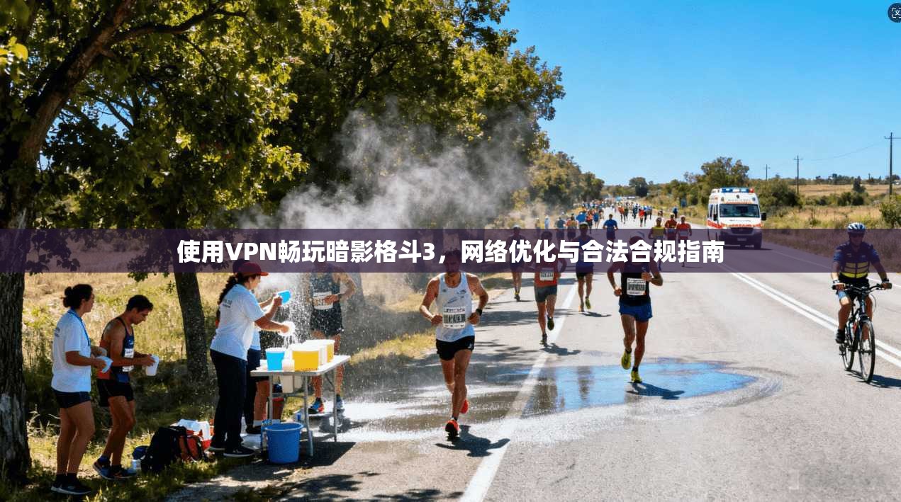 使用VPN畅玩暗影格斗3，网络优化与合法合规指南  第1张