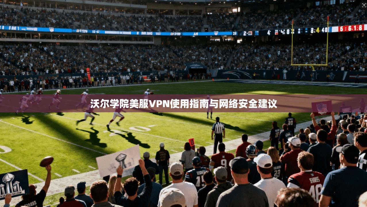 沃尔学院美服VPN使用指南与网络安全建议