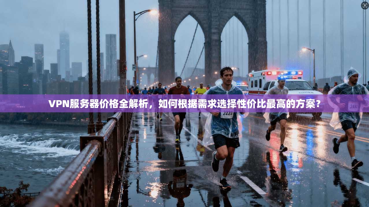 VPN服务器价格全解析，如何根据需求选择性价比最高的方案？