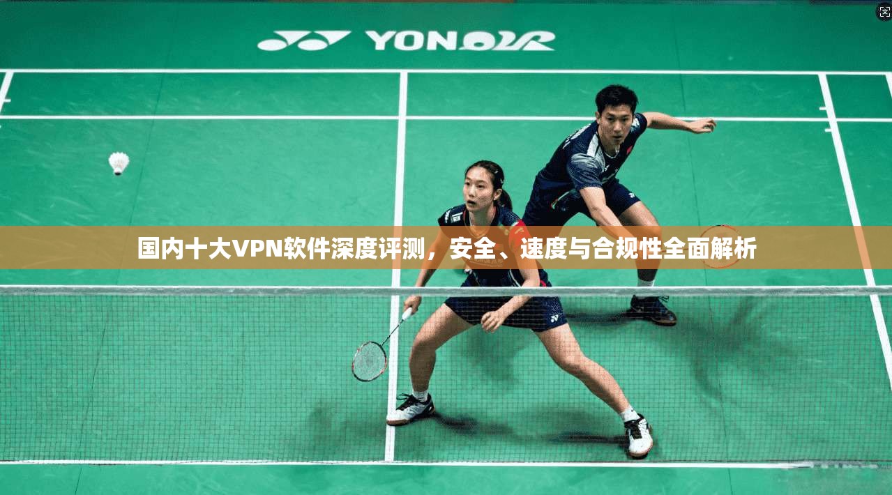 国内十大VPN软件深度评测，安全、速度与合规性全面解析