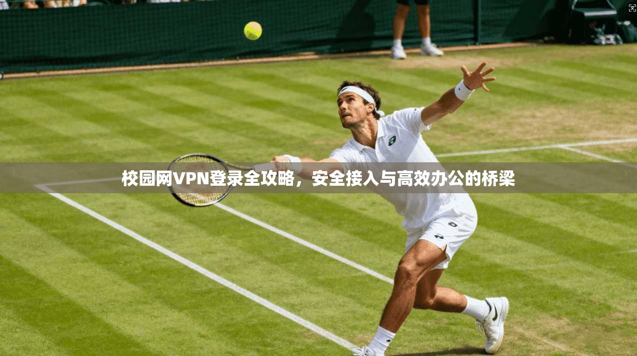 校园网VPN登录全攻略，安全接入与高效办公的桥梁