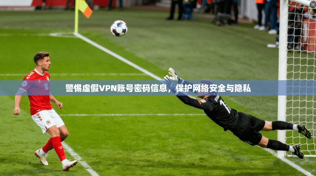 警惕虚假VPN账号密码信息，保护网络安全与隐私