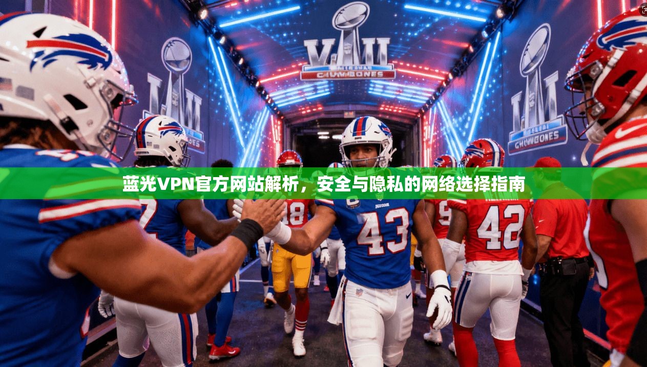 蓝光VPN官方网站解析，安全与隐私的网络选择指南
