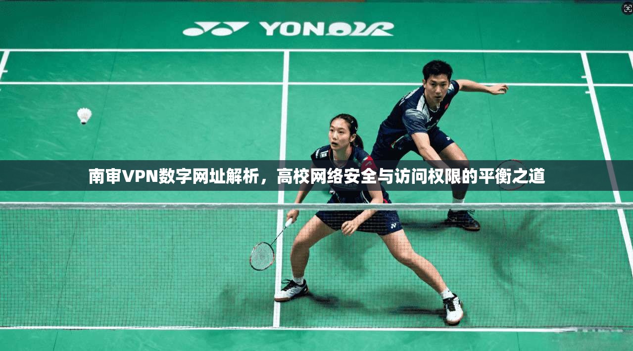 南审VPN数字网址解析，高校网络安全与访问权限的平衡之道