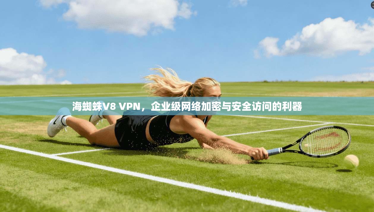 海蜘蛛V8 VPN，企业级网络加密与安全访问的利器