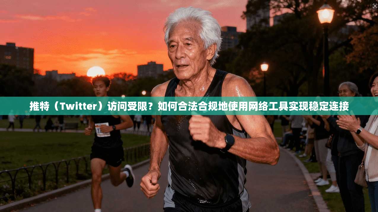推特（Twitter）访问受限？如何合法合规地使用网络工具实现稳定连接