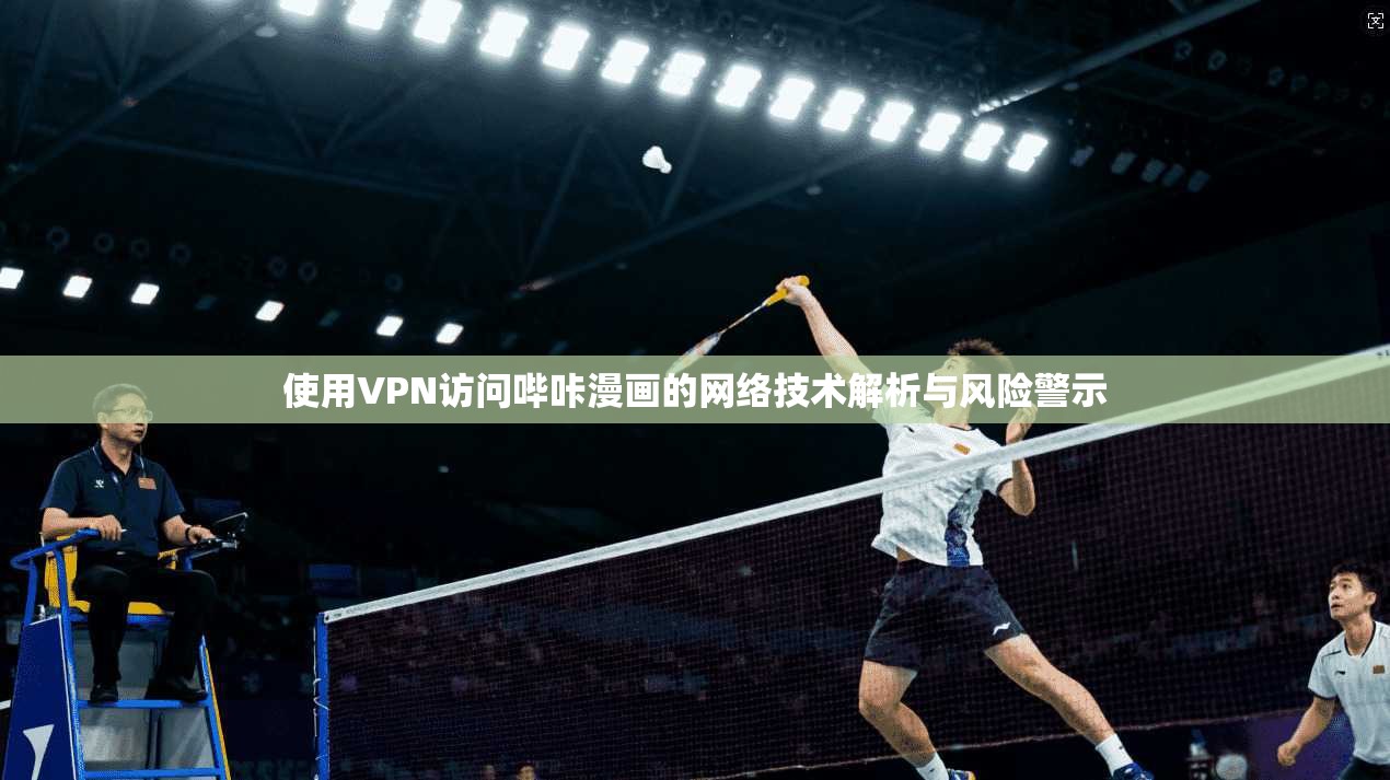 使用VPN访问哔咔漫画的网络技术解析与风险警示