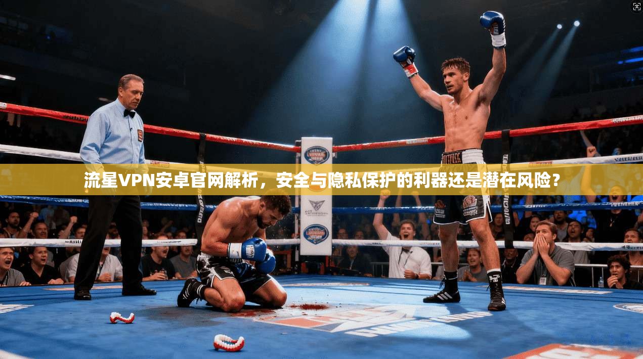 流星VPN安卓官网解析，安全与隐私保护的利器还是潜在风险？