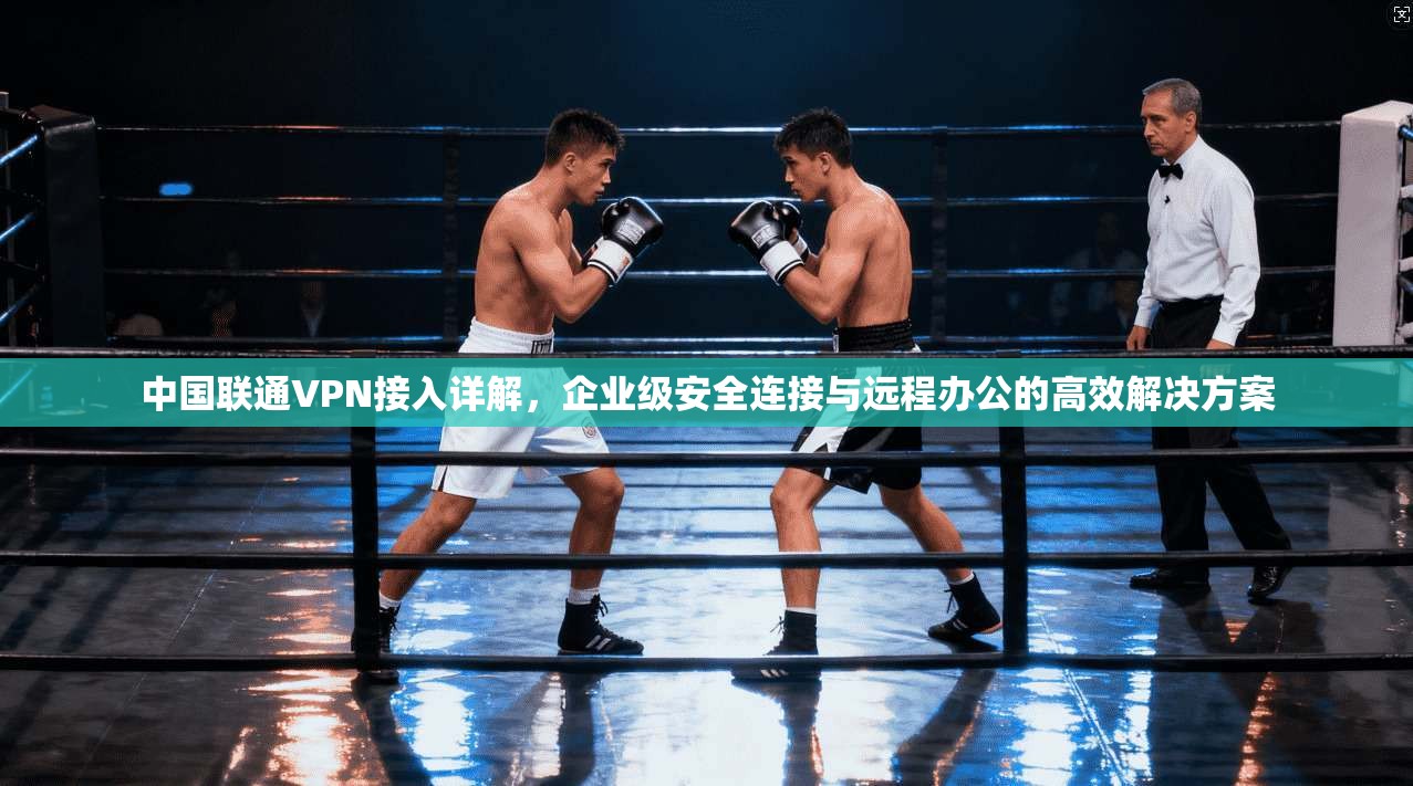 中国联通VPN接入详解，企业级安全连接与远程办公的高效解决方案