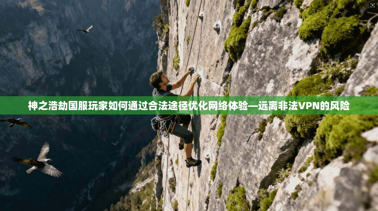 神之浩劫国服玩家如何通过合法途径优化网络体验—远离非法VPN的风险