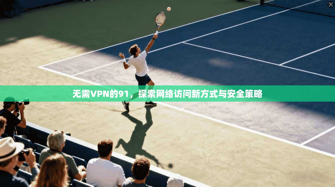 无需VPN的91，探索网络访问新方式与安全策略