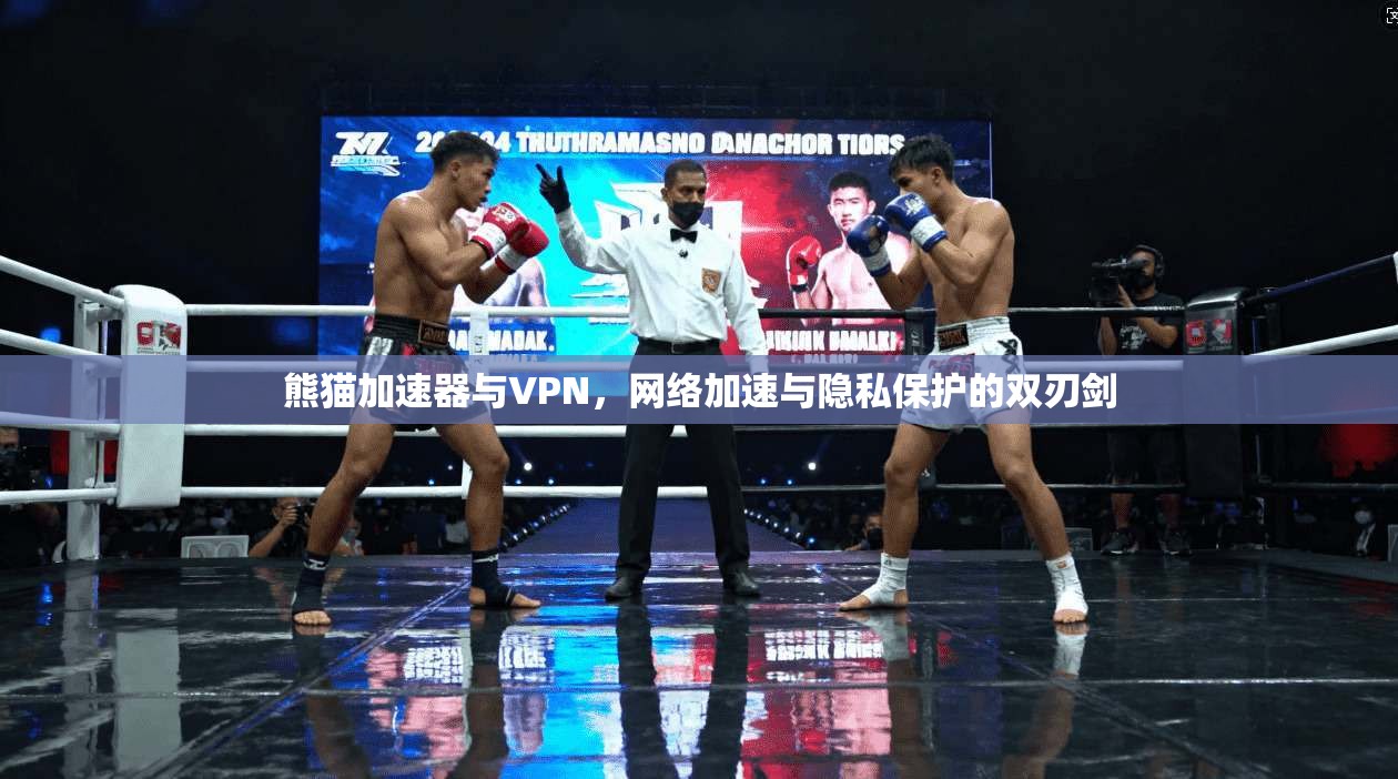 熊猫加速器与VPN，网络加速与隐私保护的双刃剑