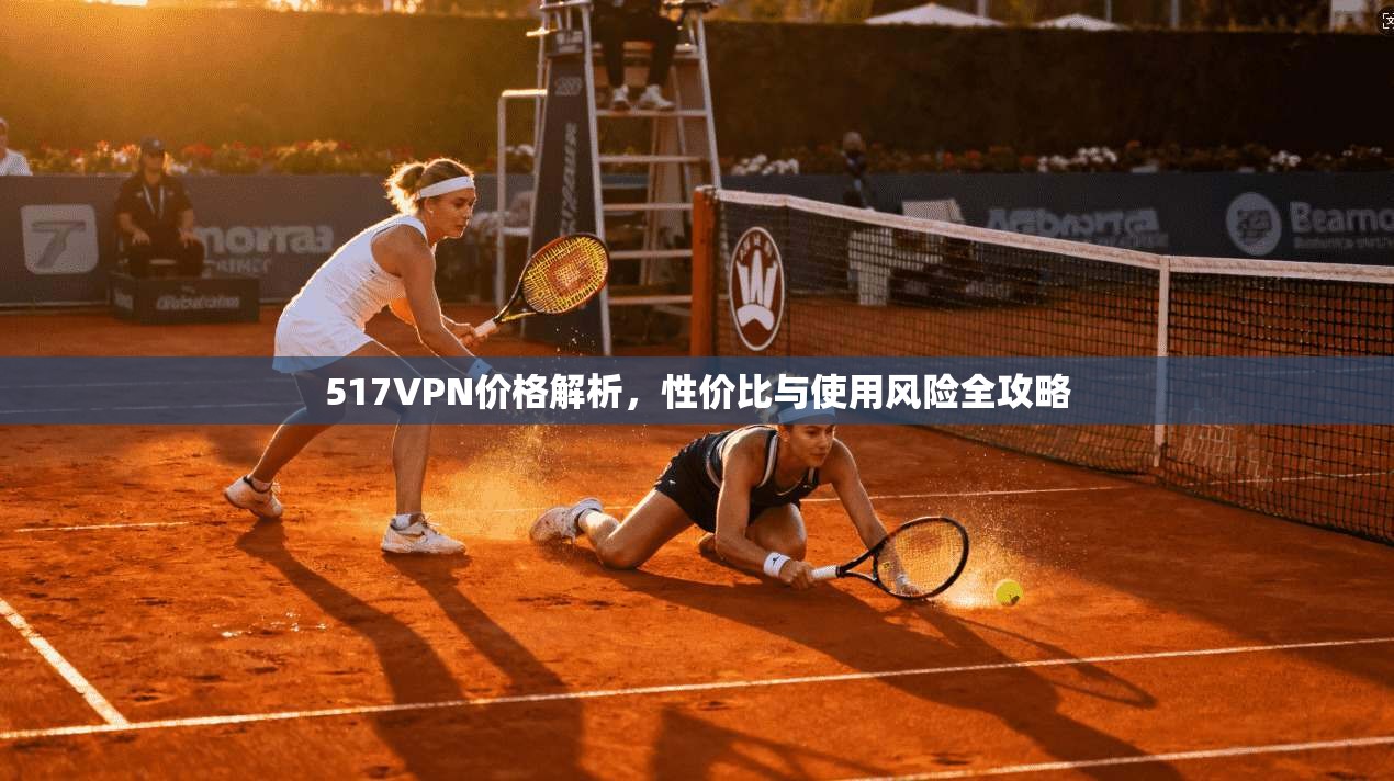 517VPN价格解析，性价比与使用风险全攻略