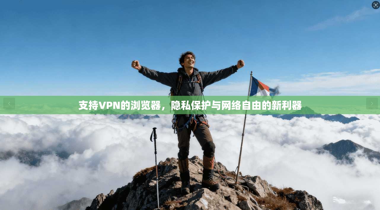 支持VPN的浏览器，隐私保护与网络自由的新利器