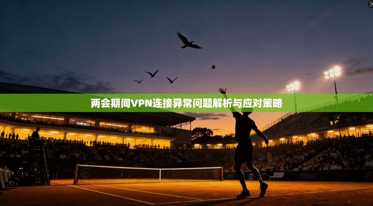 两会期间VPN连接异常问题解析与应对策略