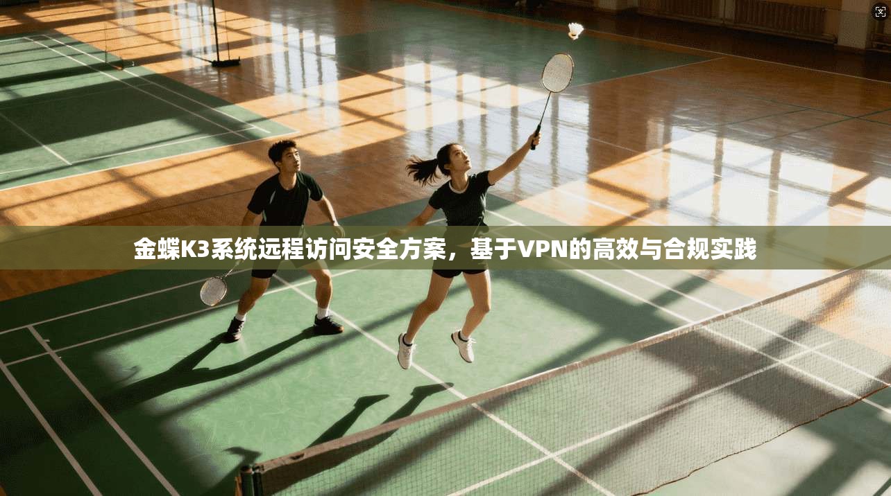 金蝶K3系统远程访问安全方案，基于VPN的高效与合规实践