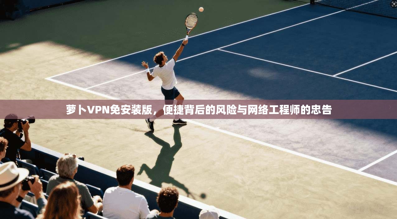 萝卜VPN免安装版，便捷背后的风险与网络工程师的忠告