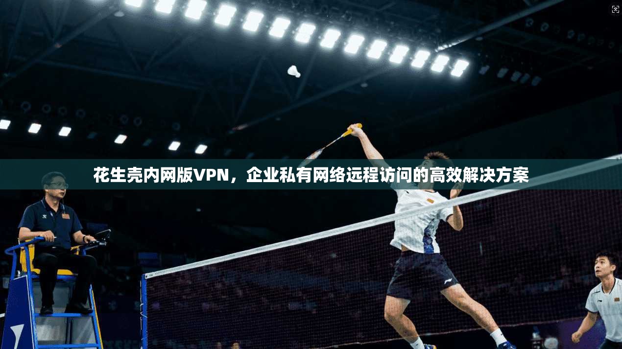 花生壳内网版VPN，企业私有网络远程访问的高效解决方案