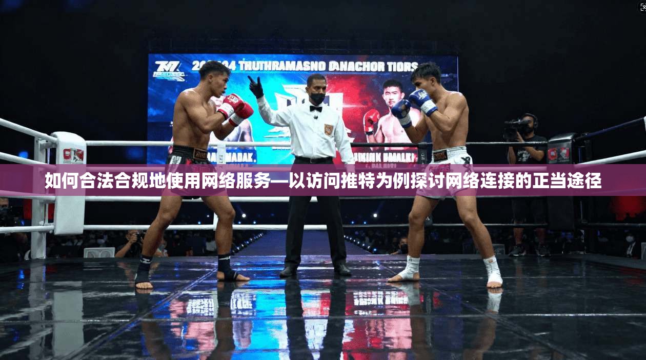 如何合法合规地使用网络服务—以访问推特为例探讨网络连接的正当途径