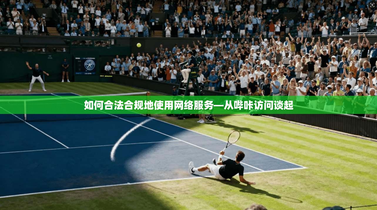 如何合法合规地使用网络服务—从哔咔访问谈起
