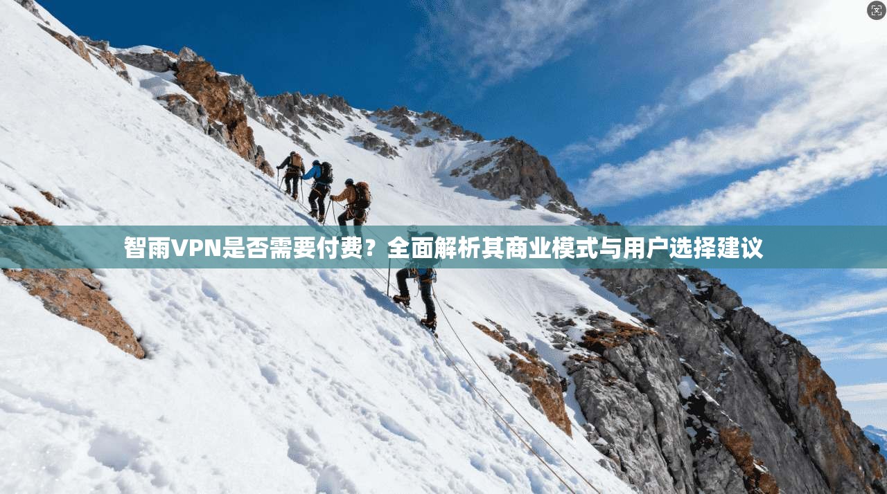 智雨VPN是否需要付费？全面解析其商业模式与用户选择建议