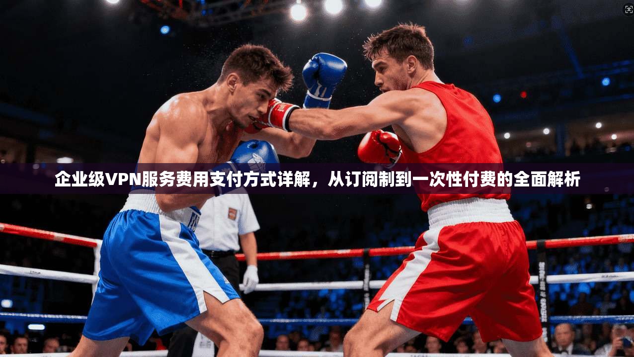 企业级VPN服务费用支付方式详解，从订阅制到一次性付费的全面解析