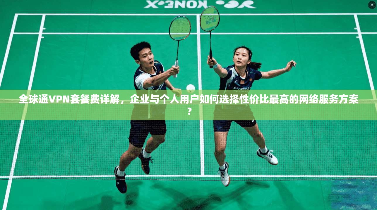 全球通VPN套餐费详解，企业与个人用户如何选择性价比最高的网络服务方案？