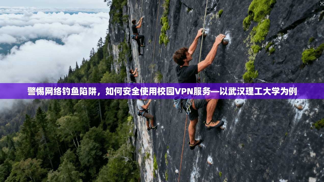 警惕网络钓鱼陷阱，如何安全使用校园VPN服务—以武汉理工大学为例  第1张